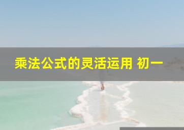 乘法公式的灵活运用 初一